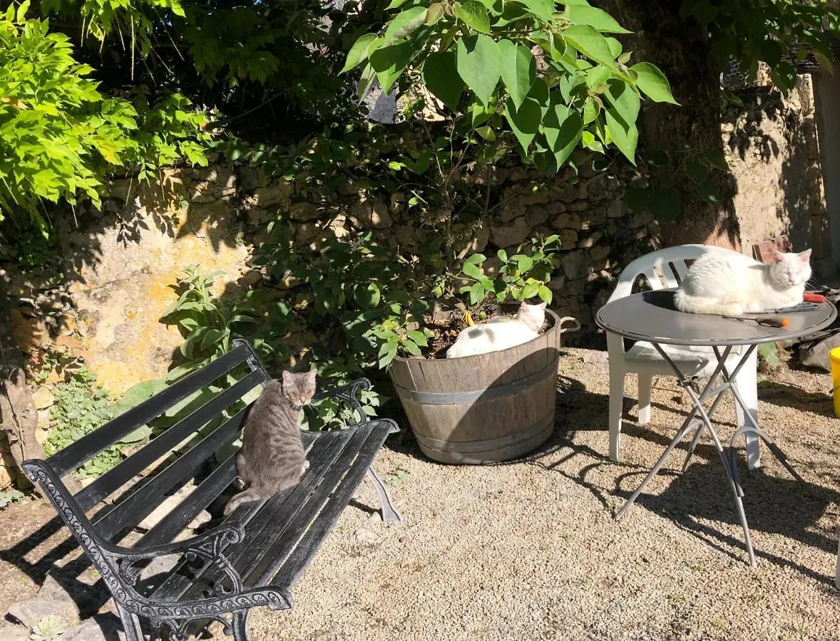 Le Gite De La Maison Des Chats Saint-Amans-du-Pech