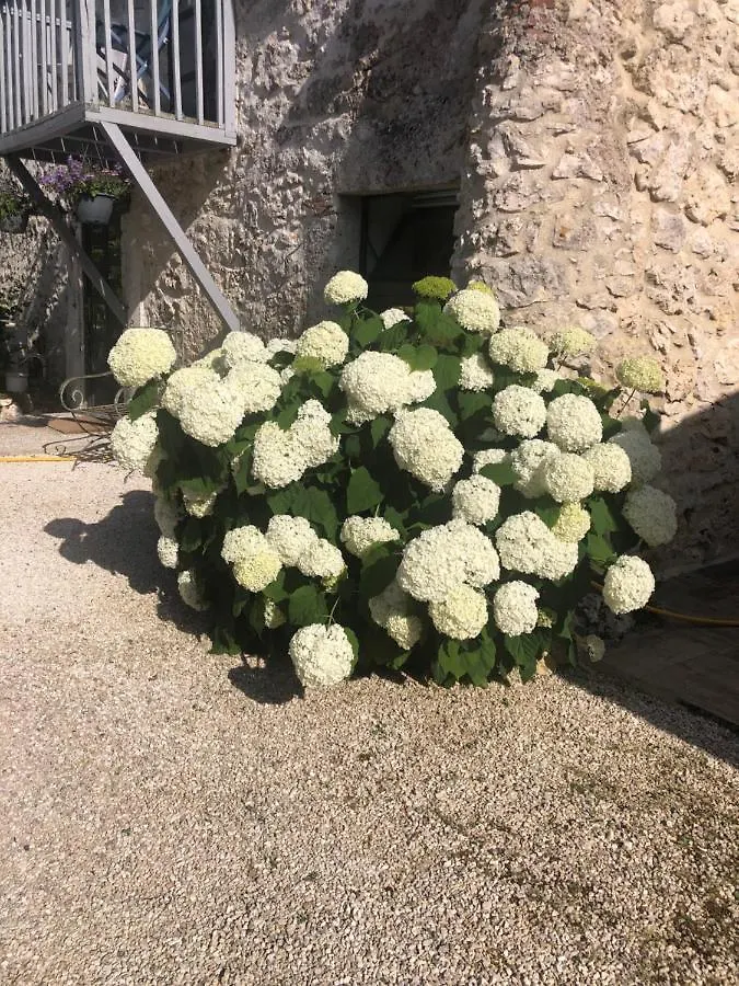Le Gite De La Maison Des Chats Saint-Amans-du-Pech France